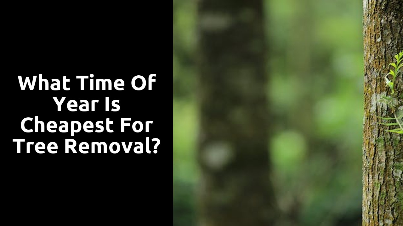 What time of year is cheapest for tree removal?