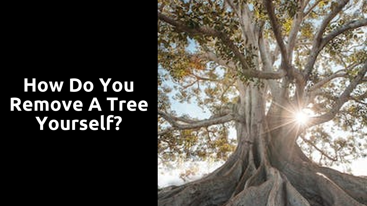 How do you remove a tree yourself?