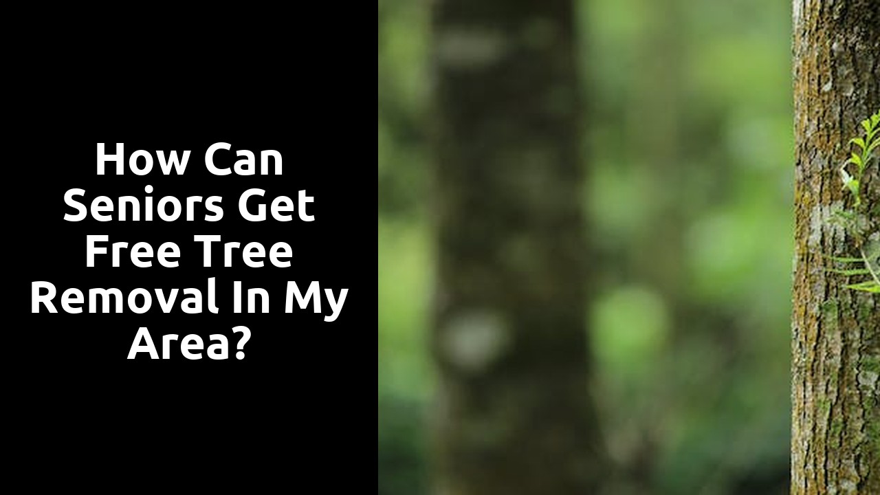 How can seniors get free tree removal in my area?