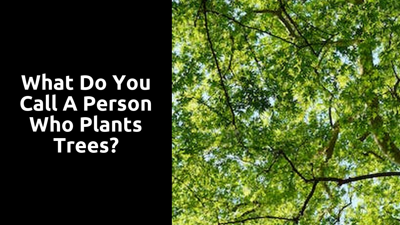 What do you call a person who plants trees?