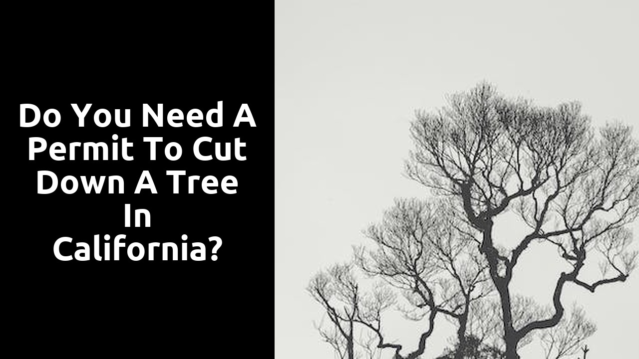 Do you need a permit to cut down a tree in California?