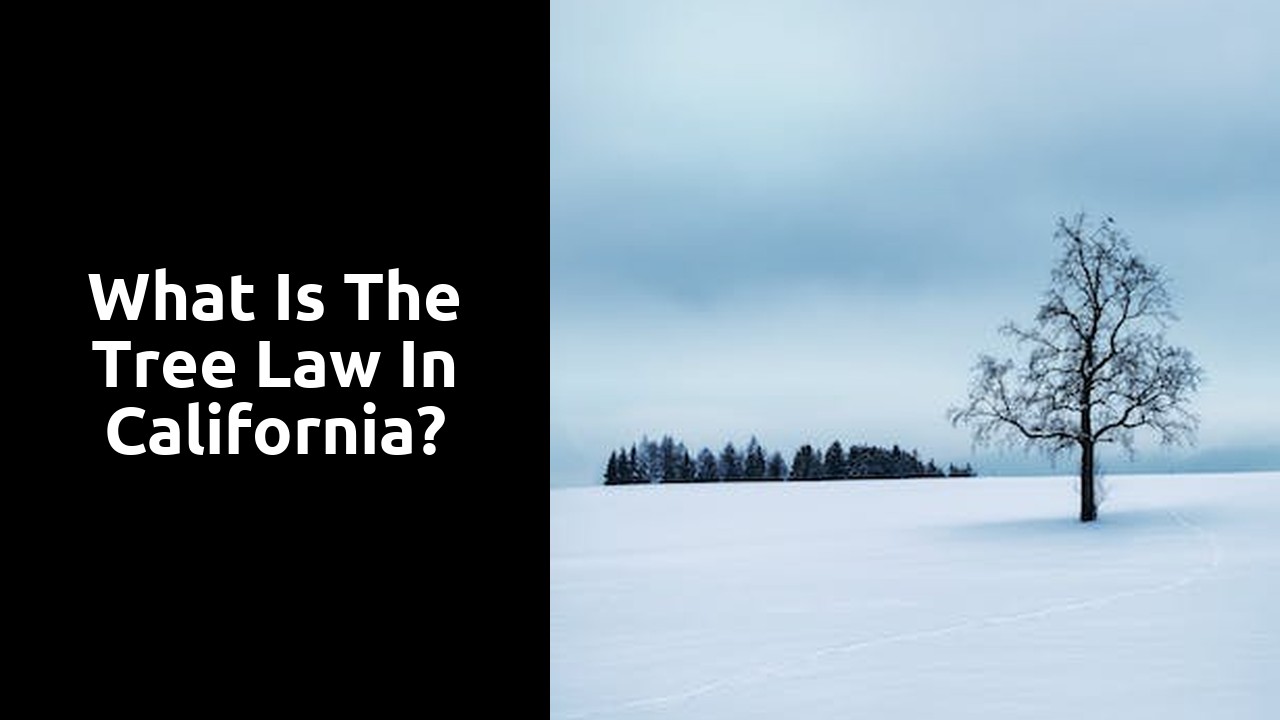 What is the tree law in California?