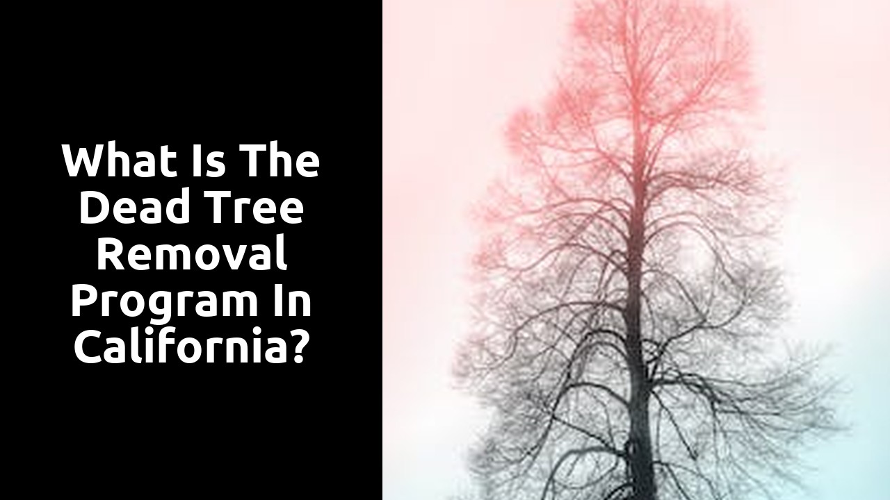 What is the dead tree removal program in California?