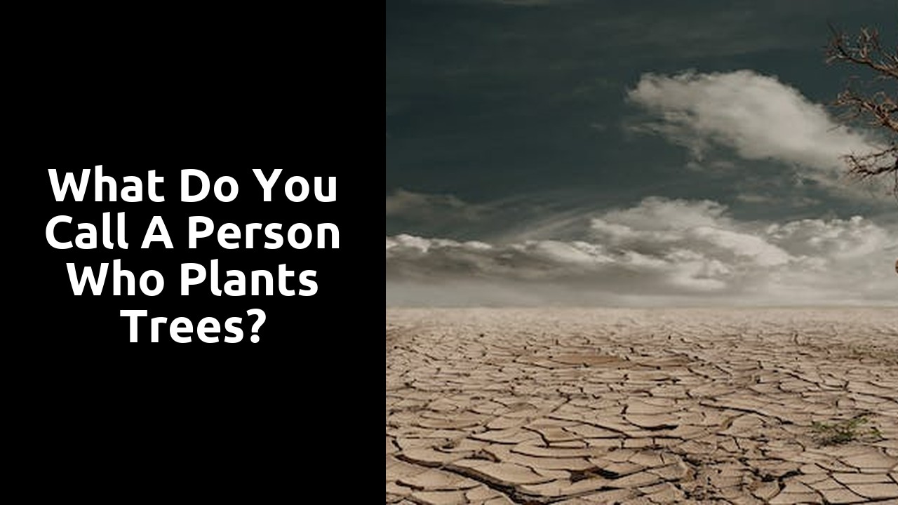 What do you call a person who plants trees?