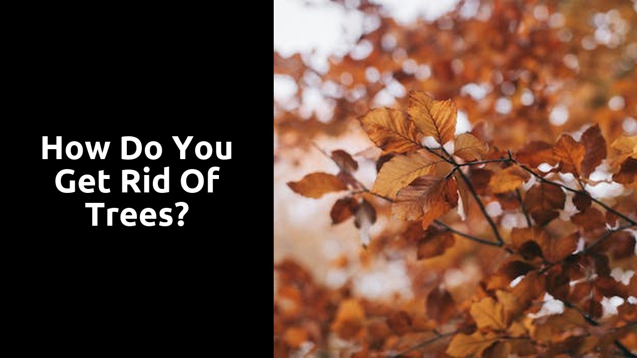 How do you get rid of trees?