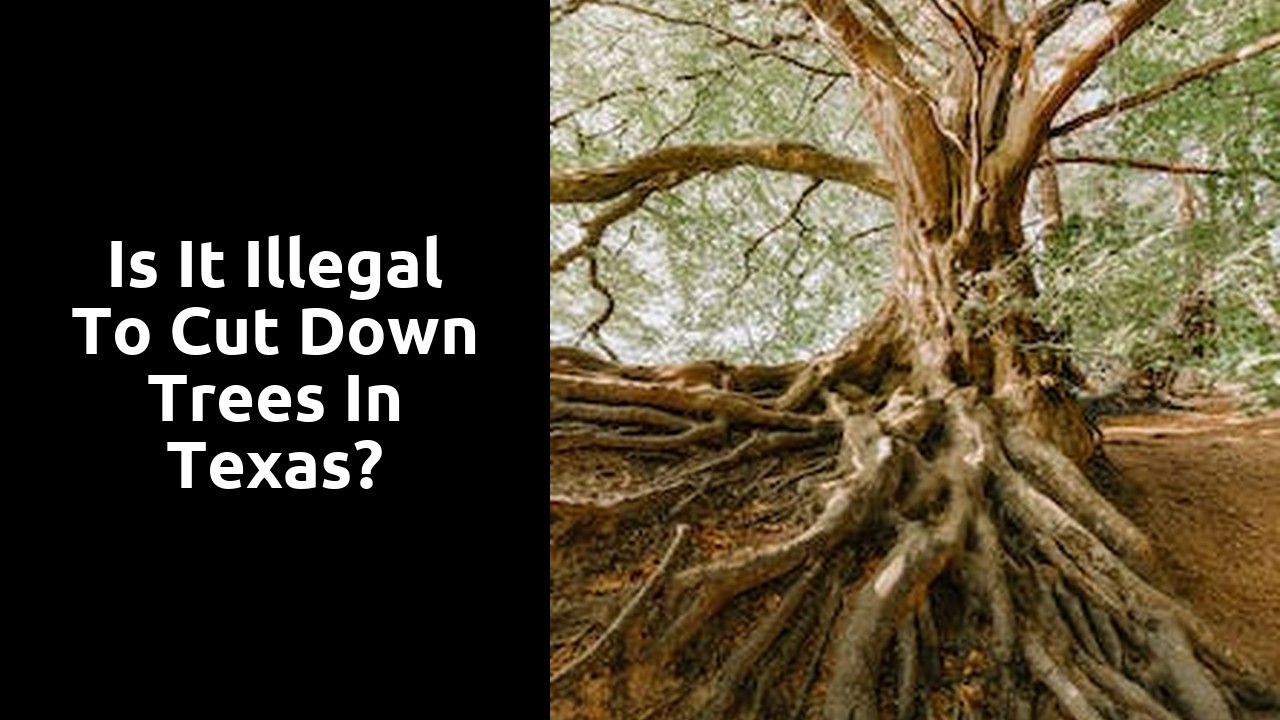 Is it illegal to cut down trees in Texas?