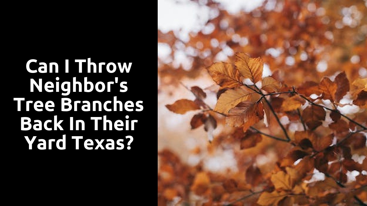 Can I throw neighbor's tree branches back in their yard Texas?