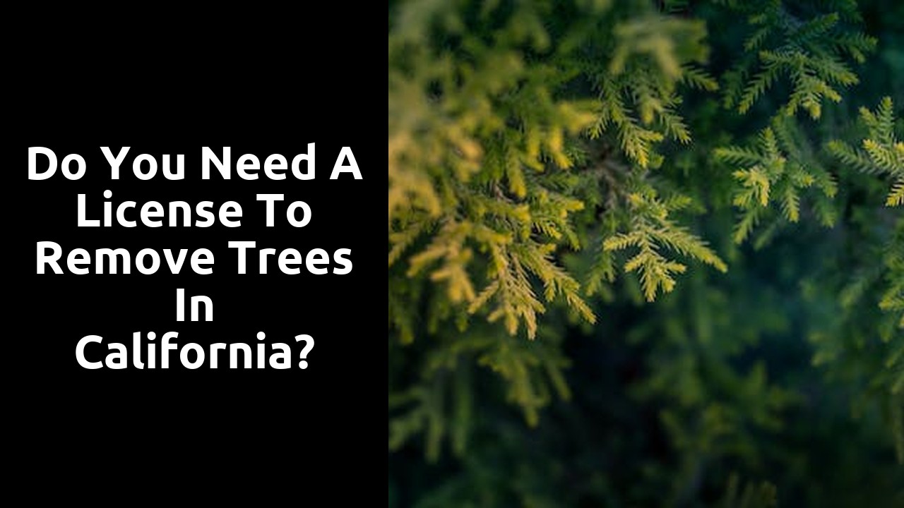Do you need a license to remove trees in California?
