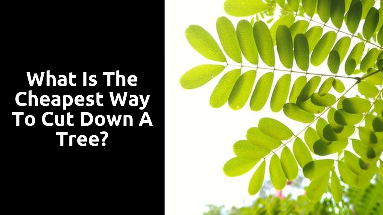 What is the cheapest way to cut down a tree?