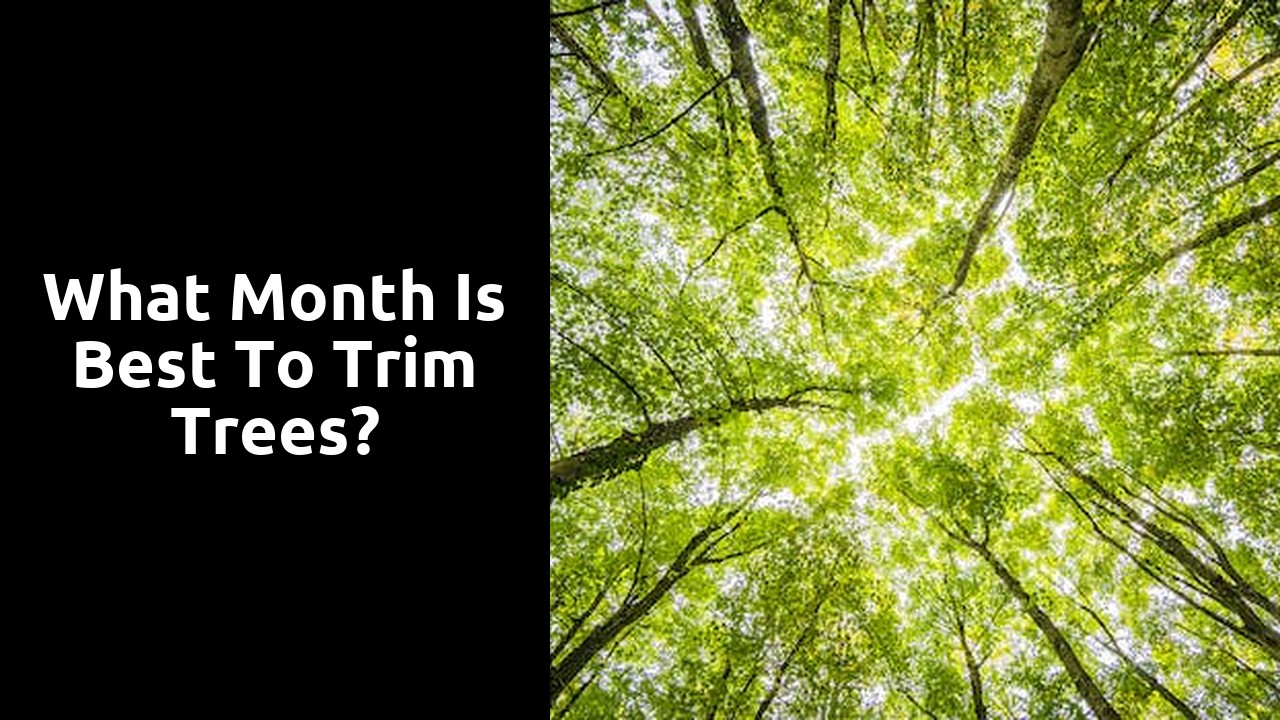 What month is best to trim trees?