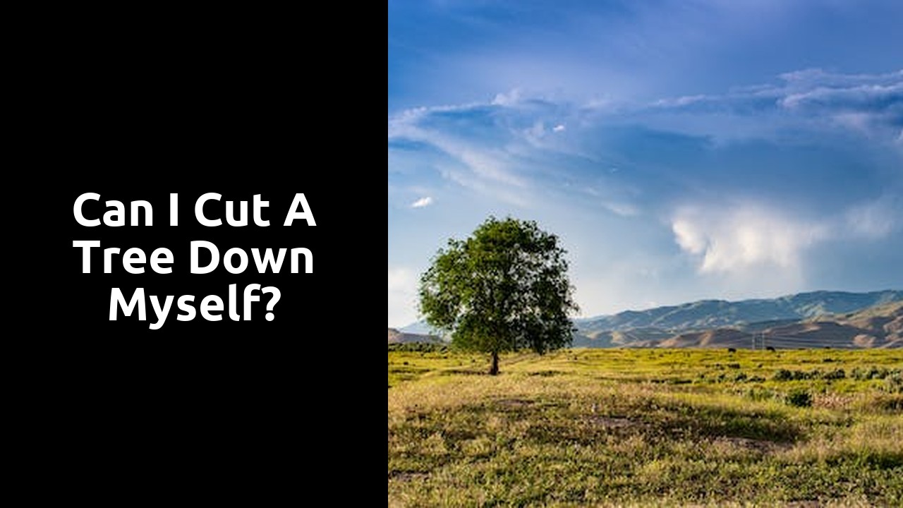 Can I cut a tree down myself?