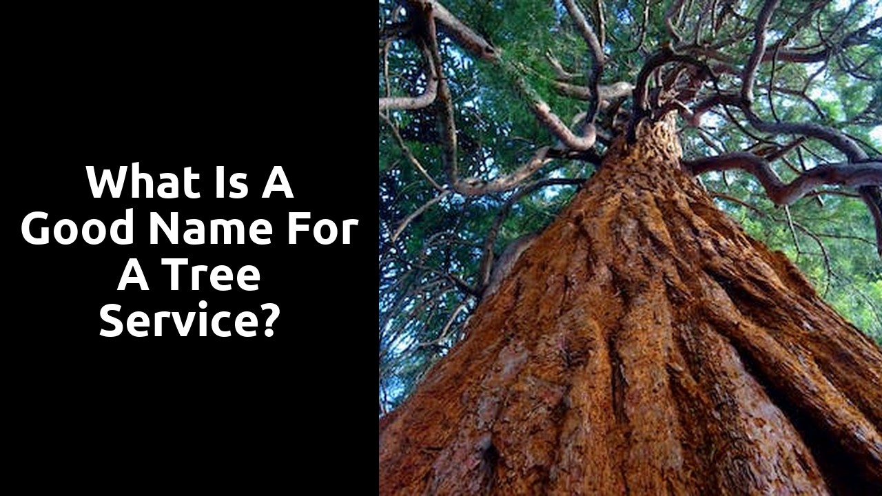 What is a good name for a tree service?